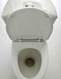 Toilet Household Water Uk Flush Dual Low