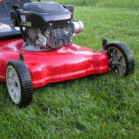 Lawn Mower Pollution Cylinder Mower